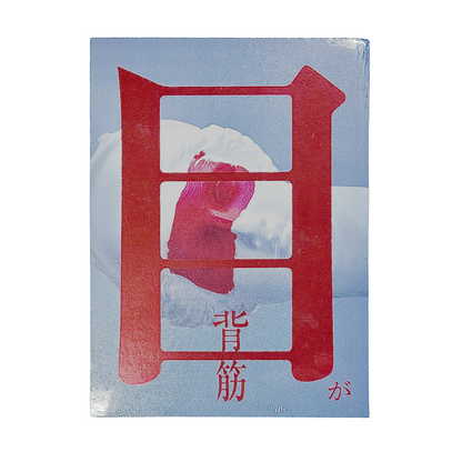 目が