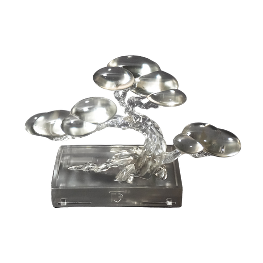 クリア盆栽|CLEAR BONSAI