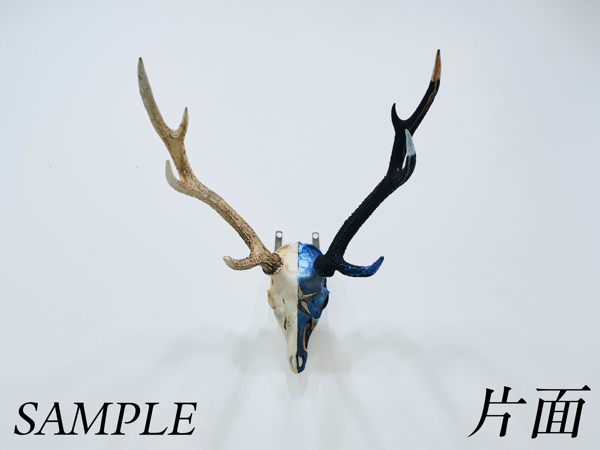 オーダーメイド「NECROFRAME」