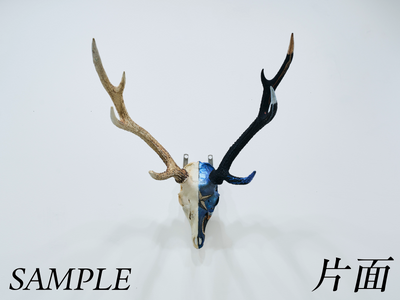 オーダーメイド「NECROFRAME」